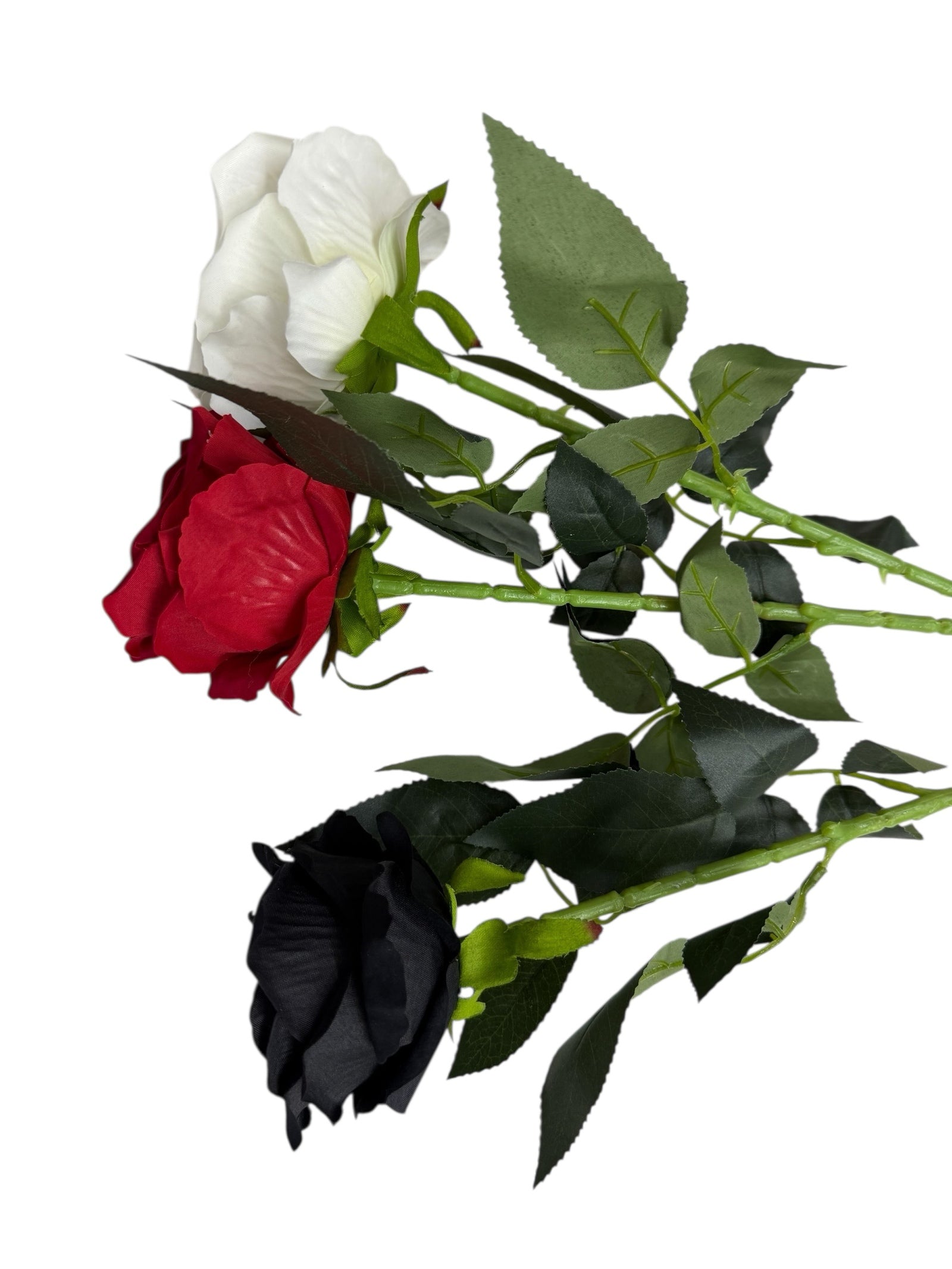 Photoroom_003_20251211_152835