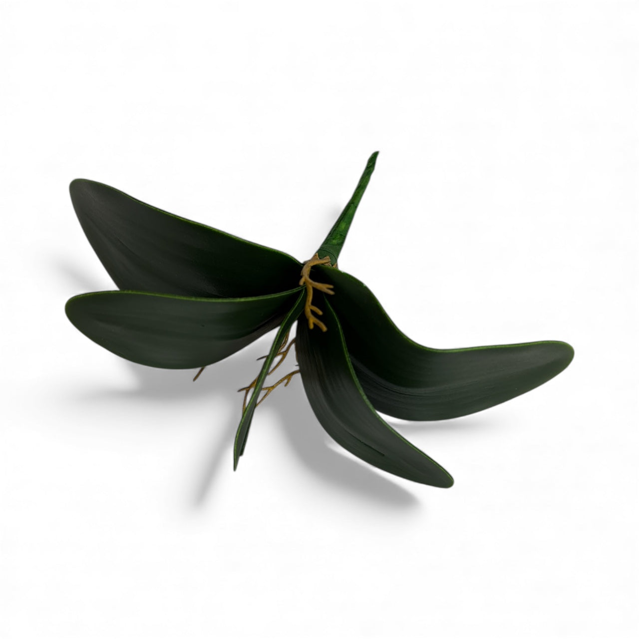 Photoroom_20251211_151504