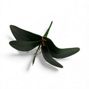 Photoroom_20251211_151504