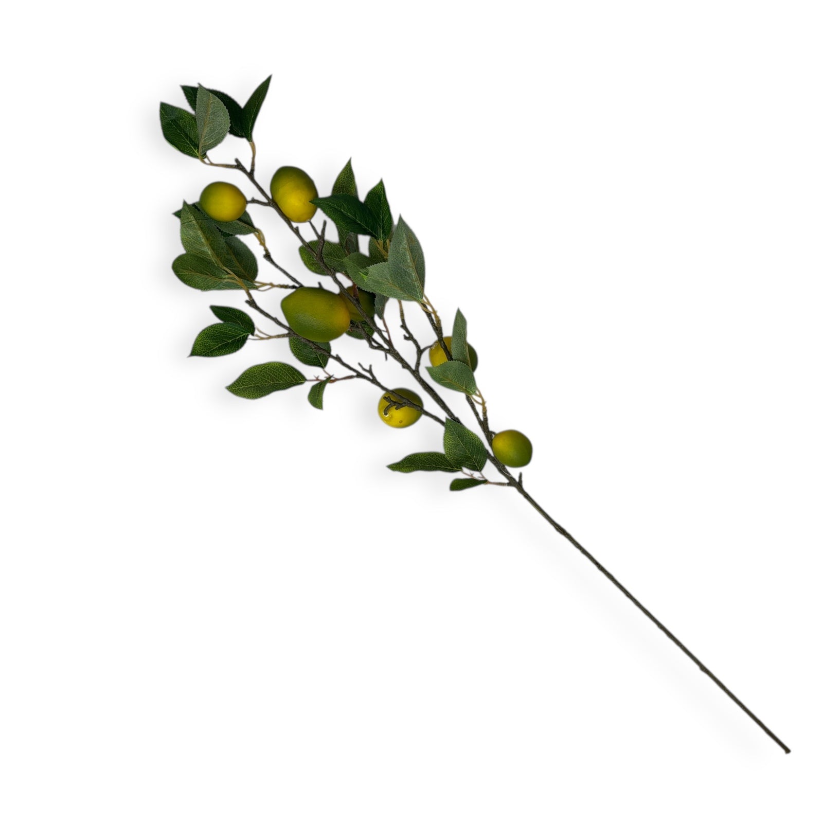 Photoroom_20251211_150618