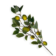 Photoroom_20251211_150657