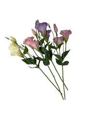 Photoroom_20251211_160329