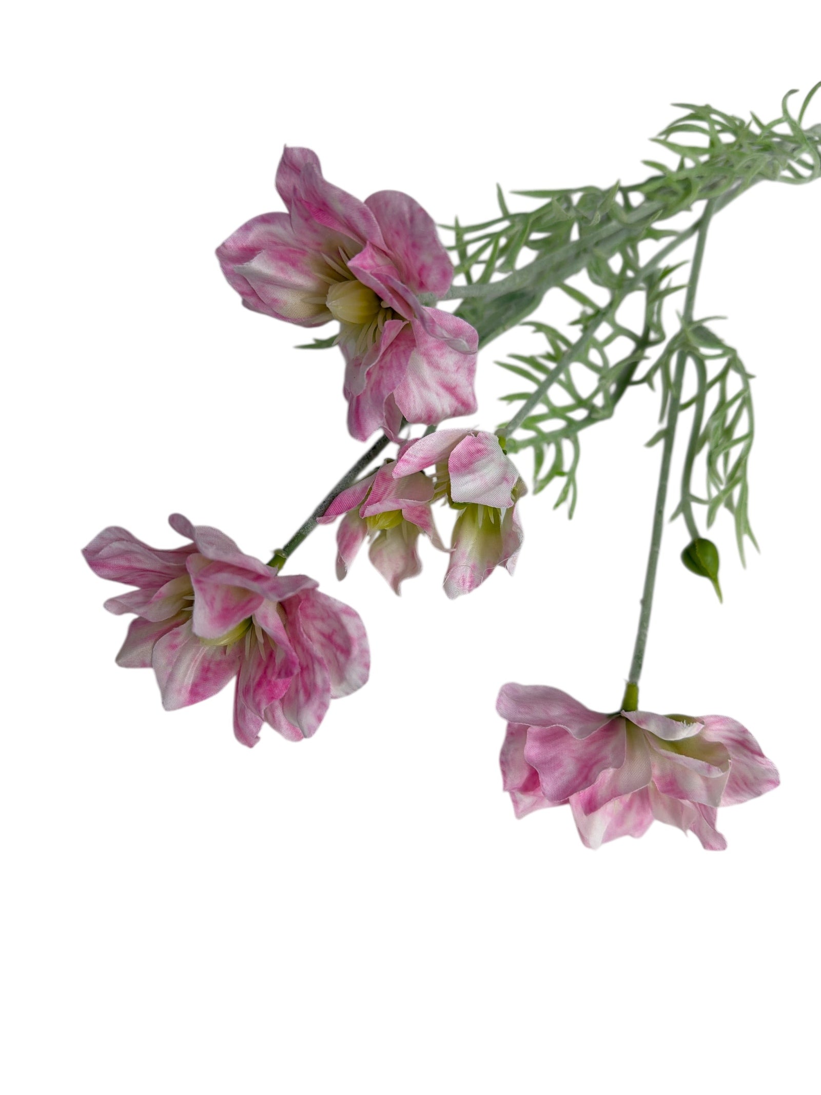 Photoroom_20251211_161042