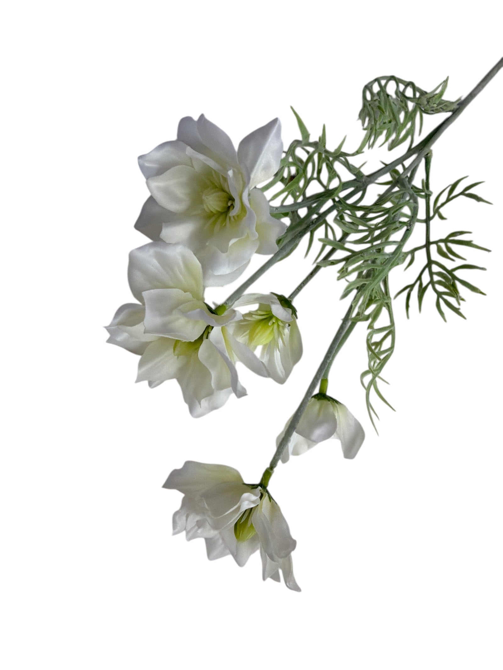 Photoroom_20251211_161133