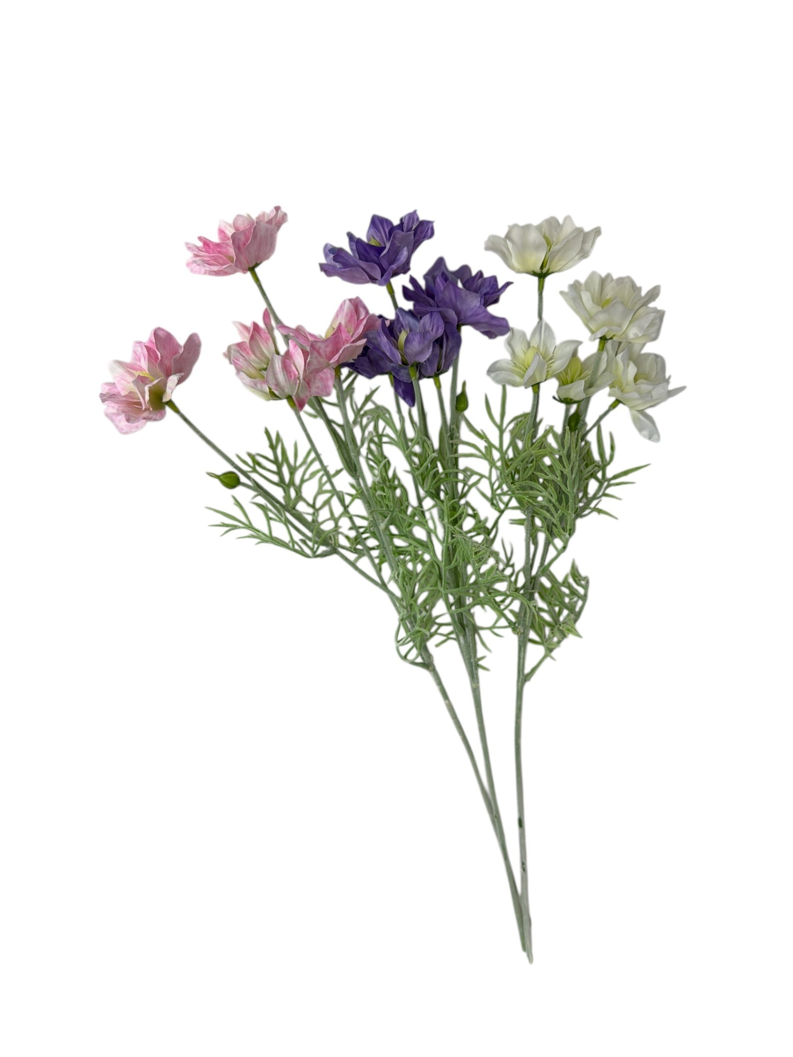 Photoroom_20251211_161340