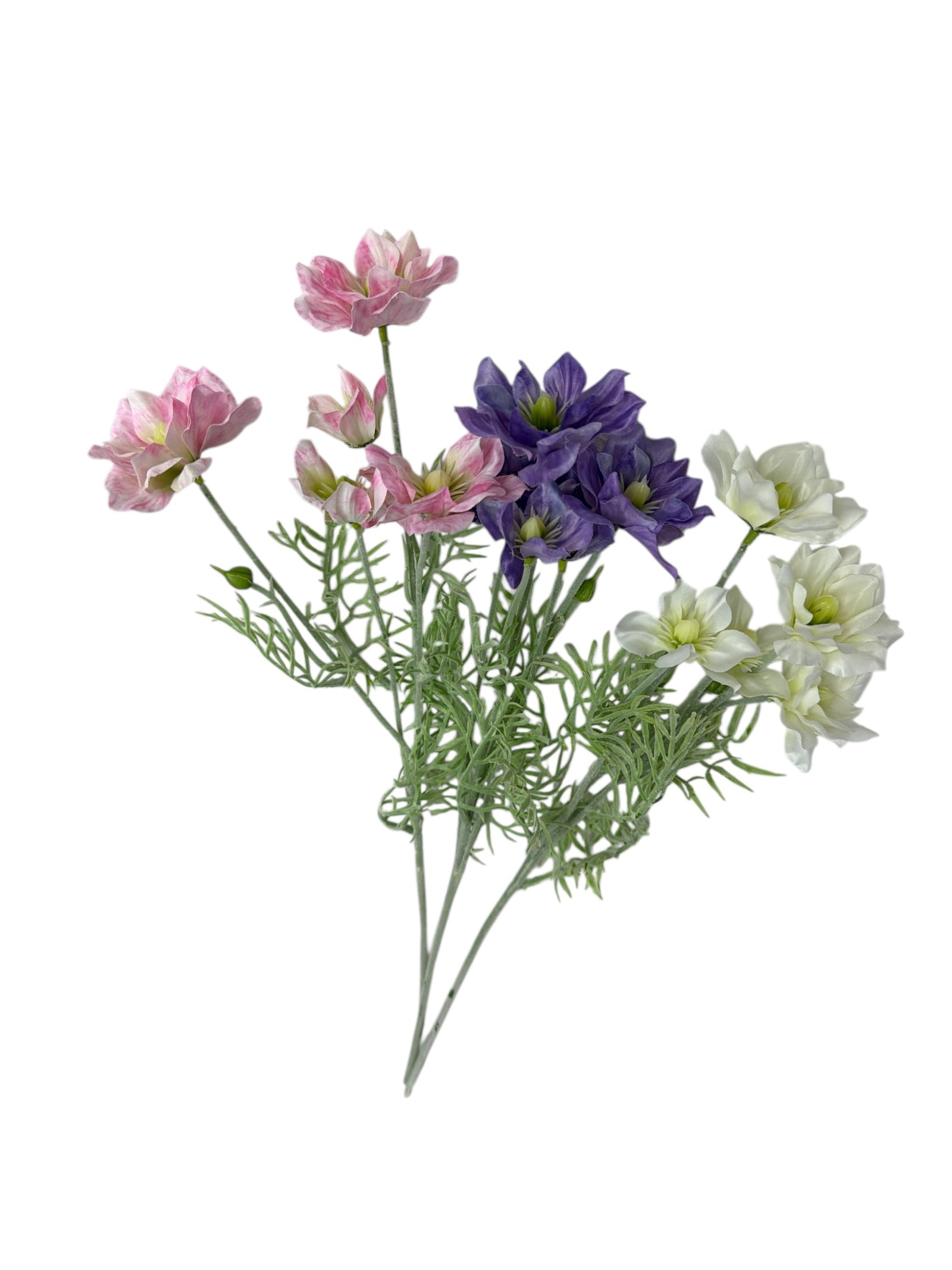 Photoroom_20251211_161511