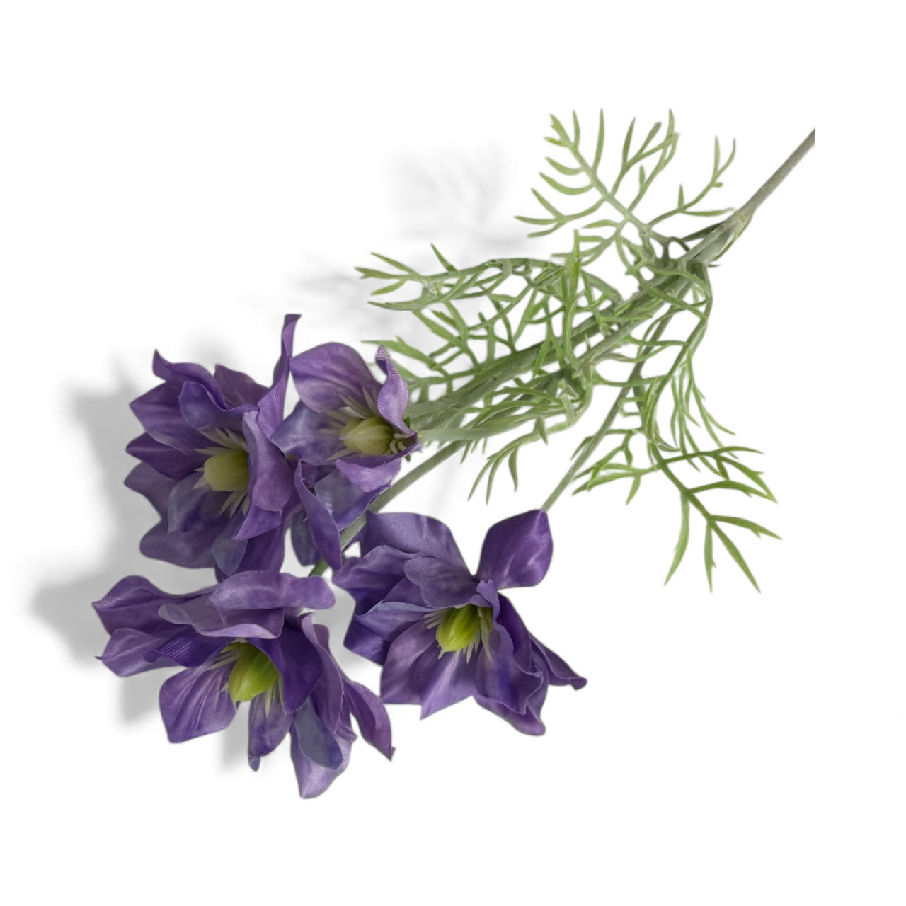 Photoroom_20251212_131322