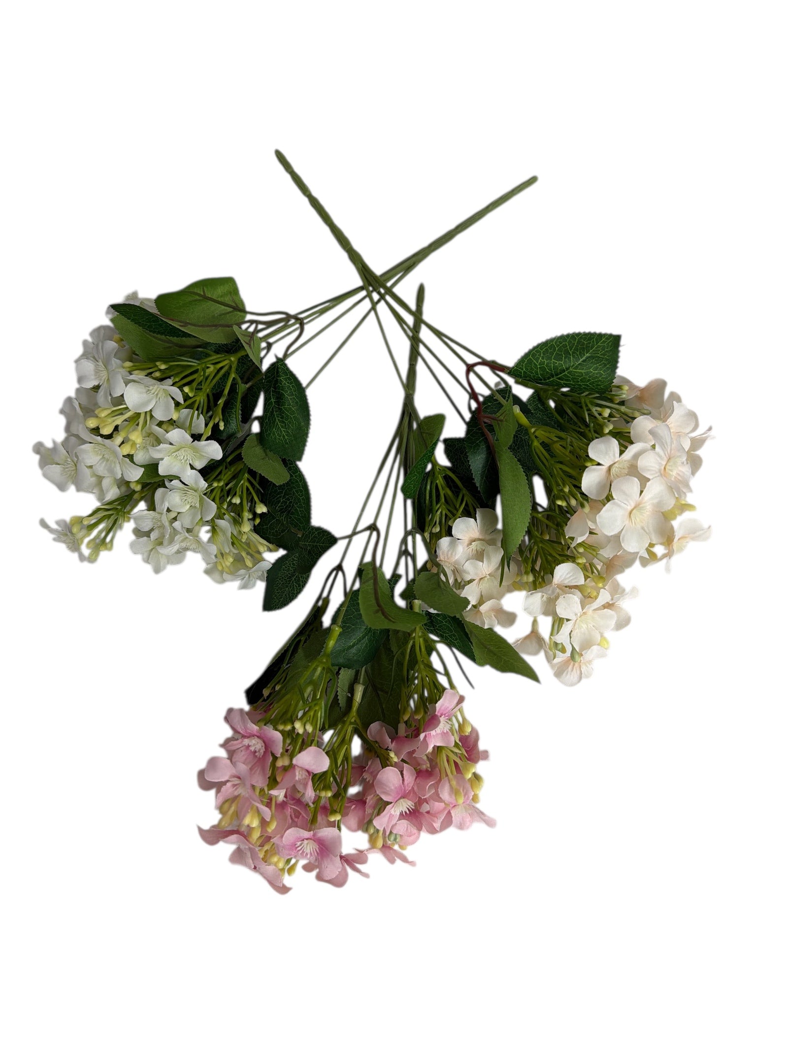 Photoroom_20251211_163837