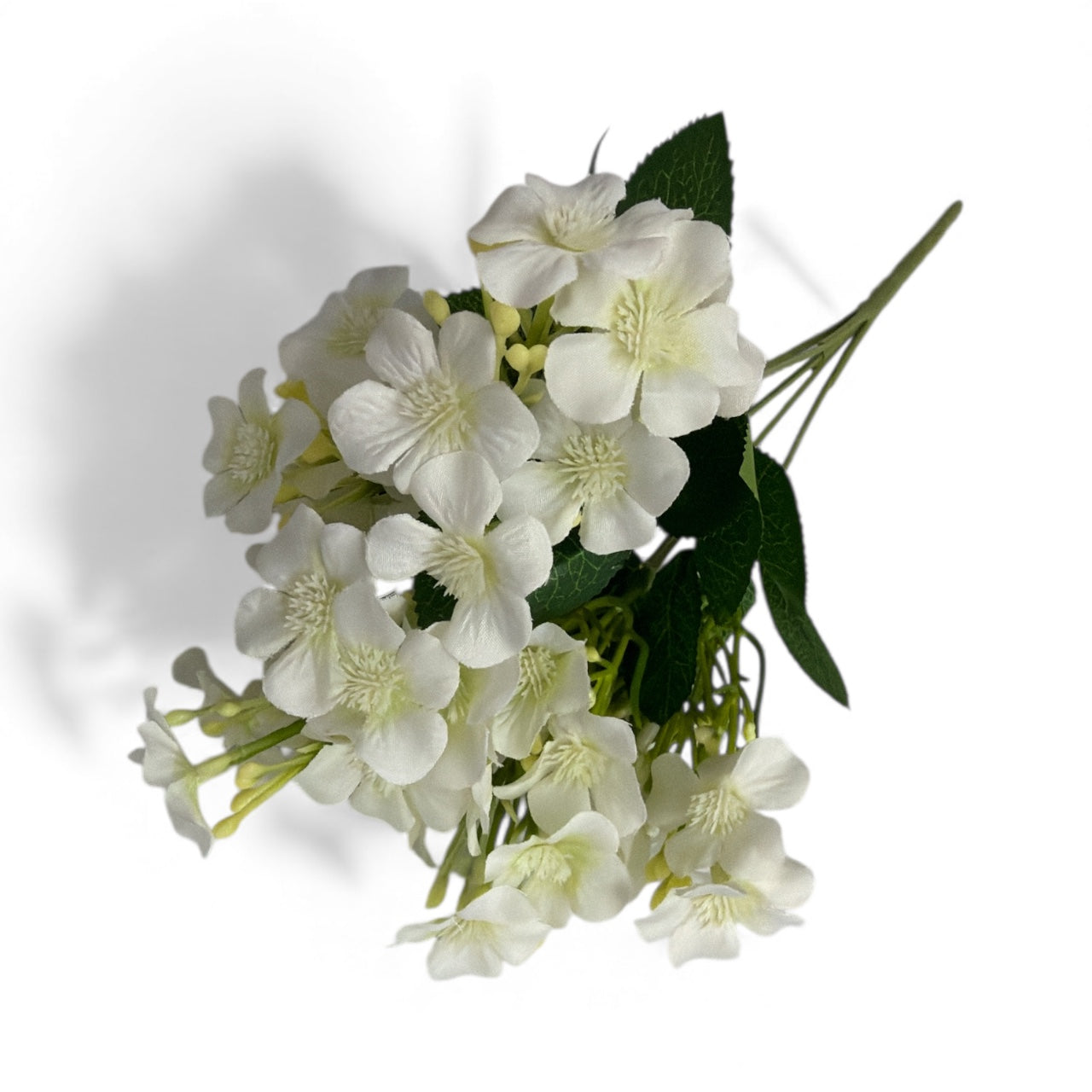 Photoroom_20251212_131420