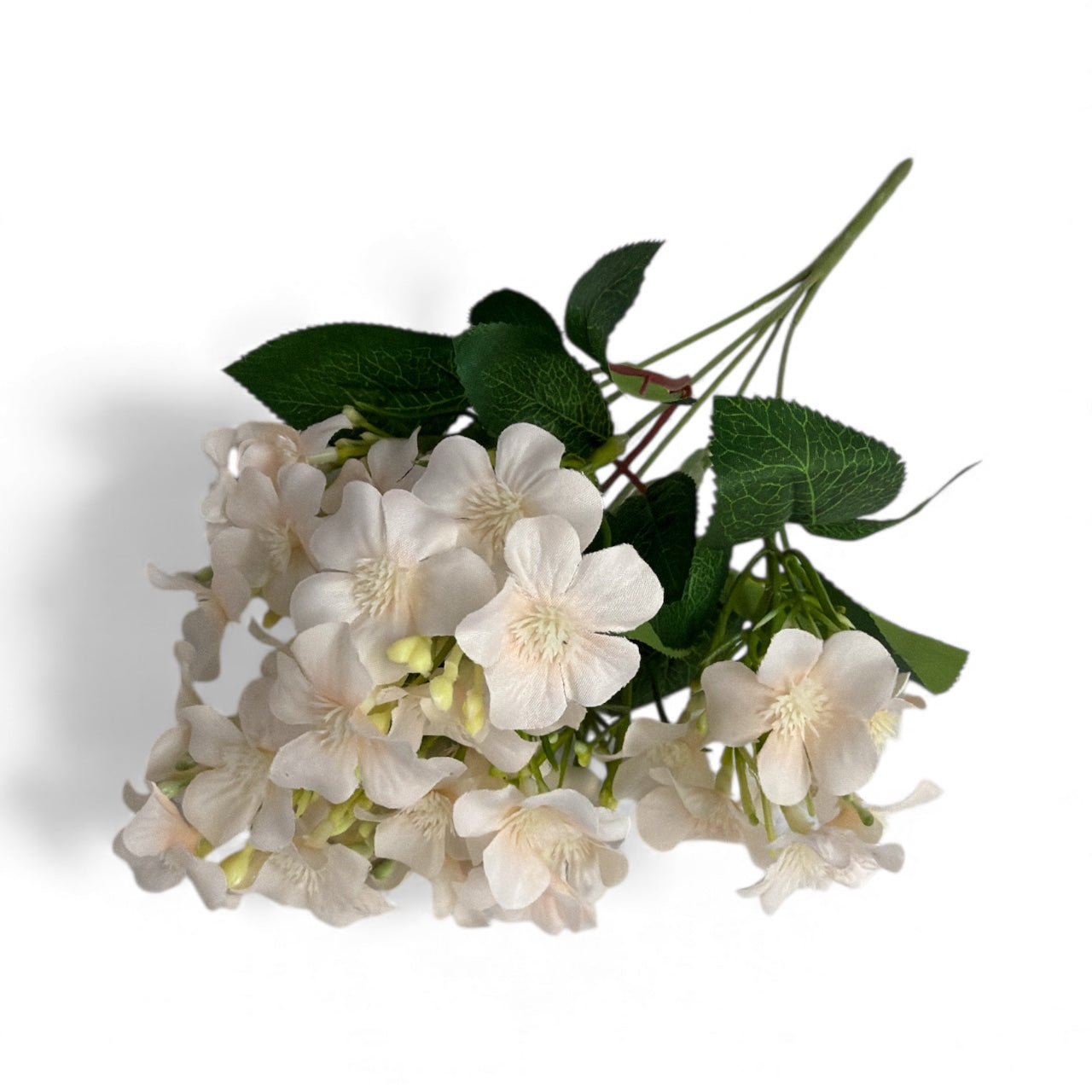 Photoroom_20251212_131505