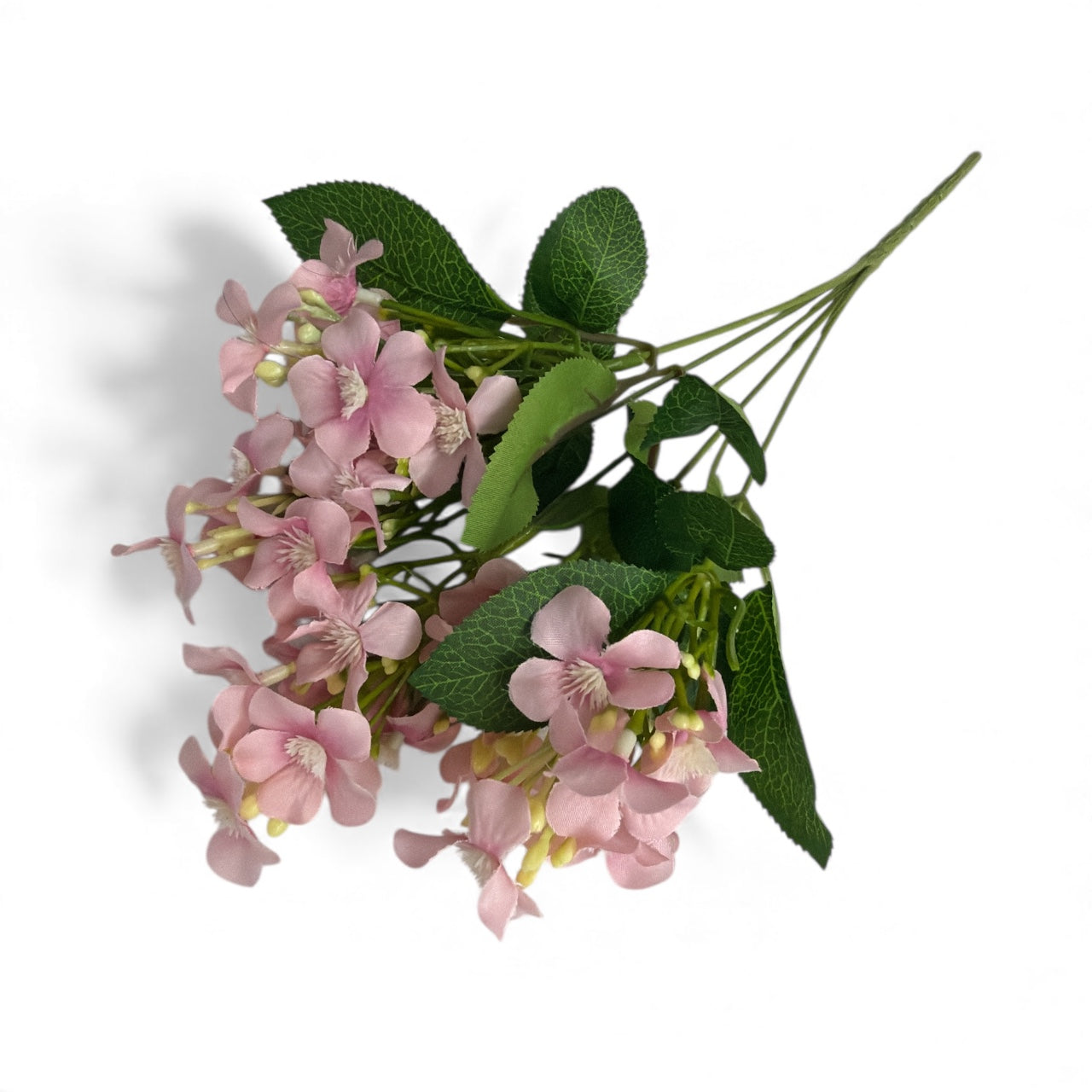 Photoroom_20251212_131536