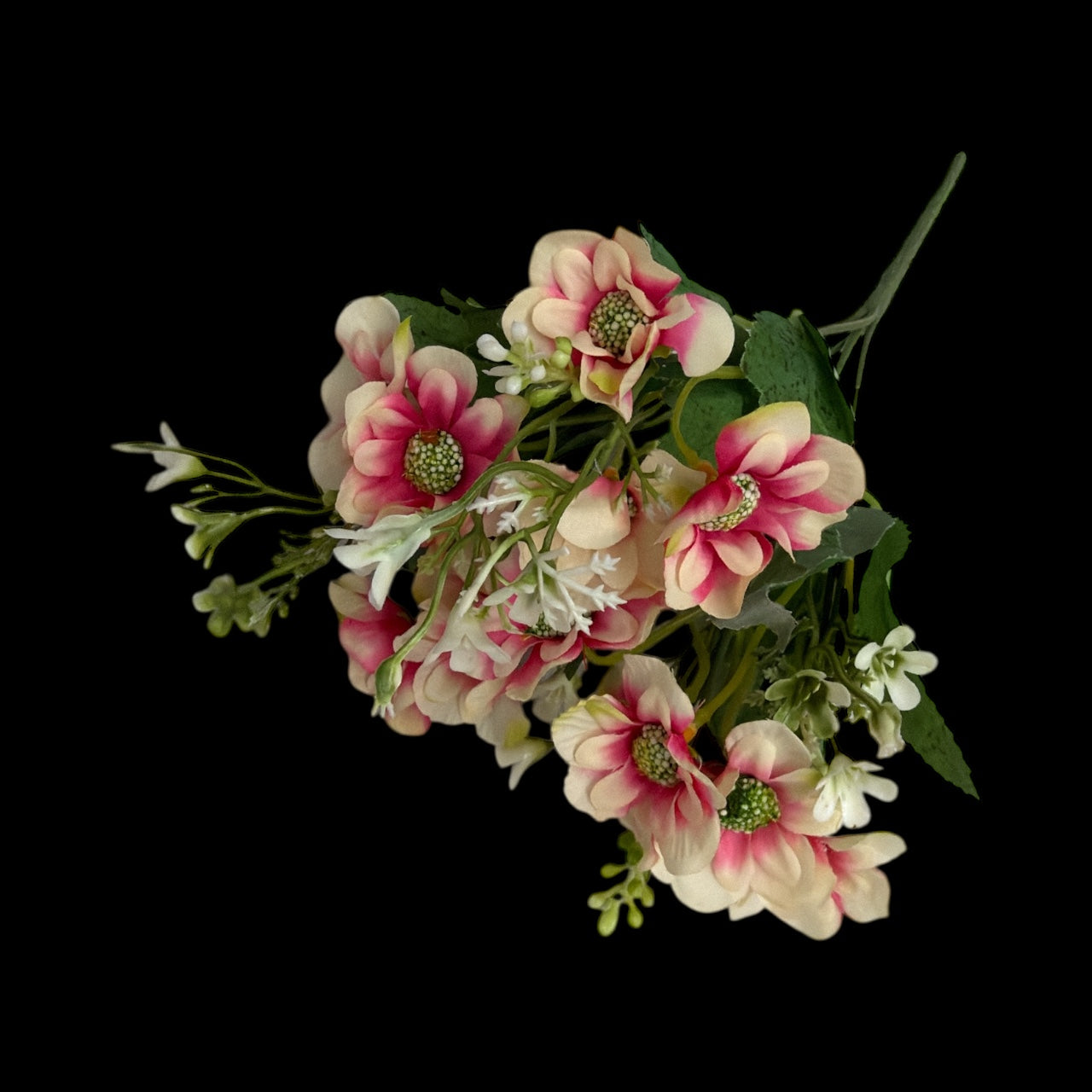 Photoroom_20251212_142714