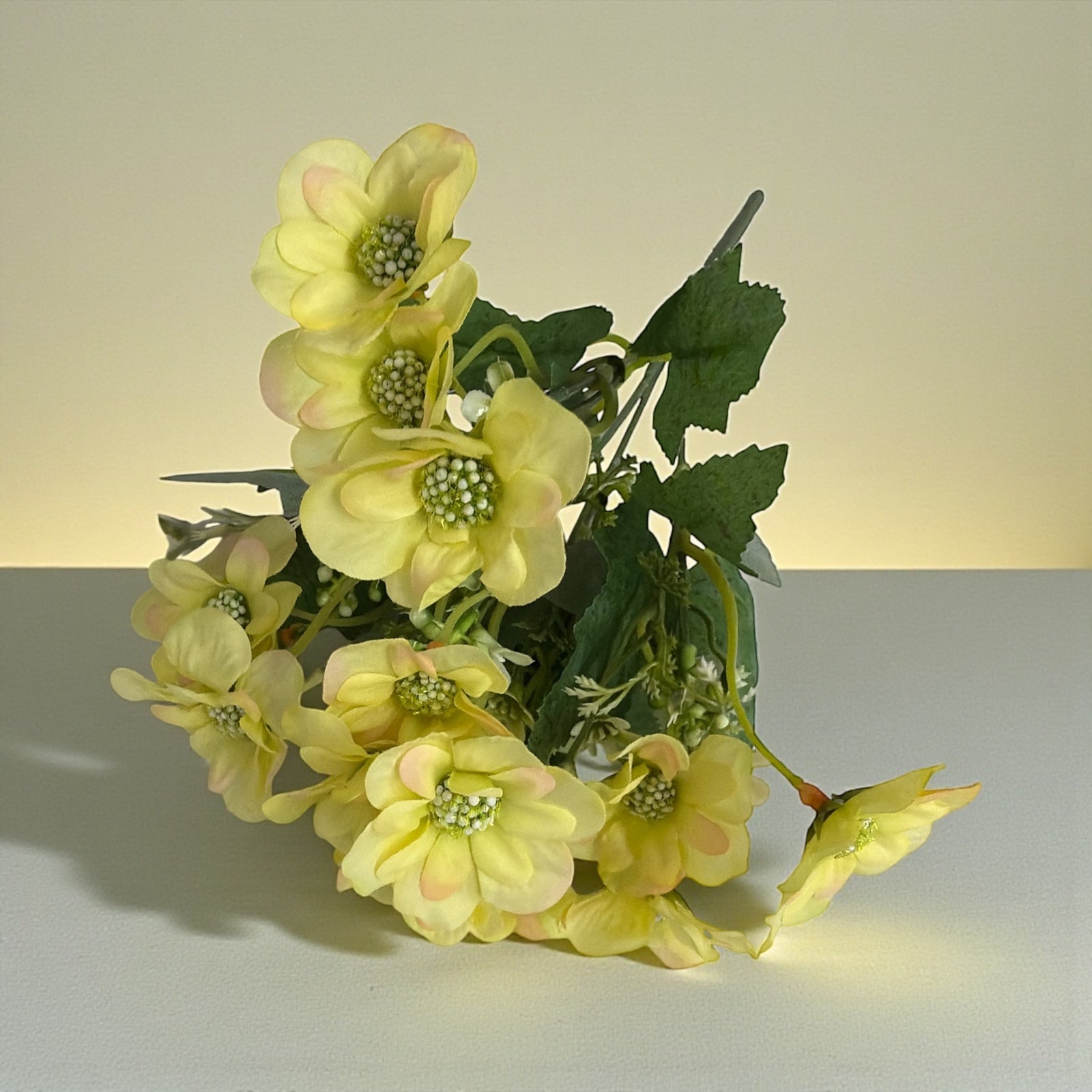 Photoroom_20251212_142757