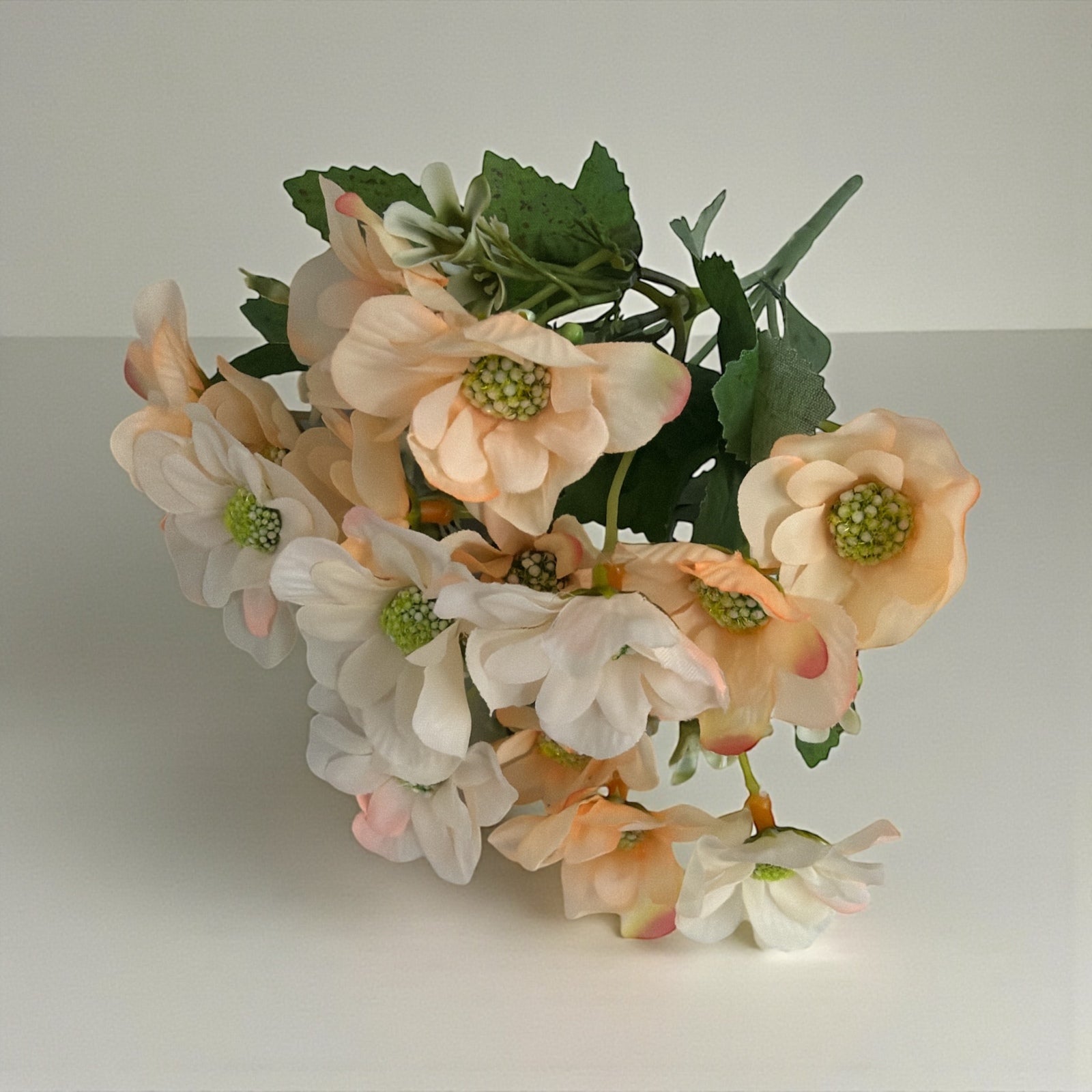 Photoroom_20251212_142934