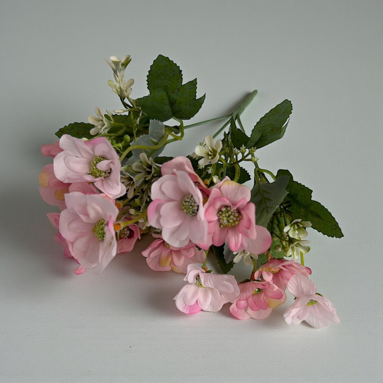 Photoroom_20251212_143048