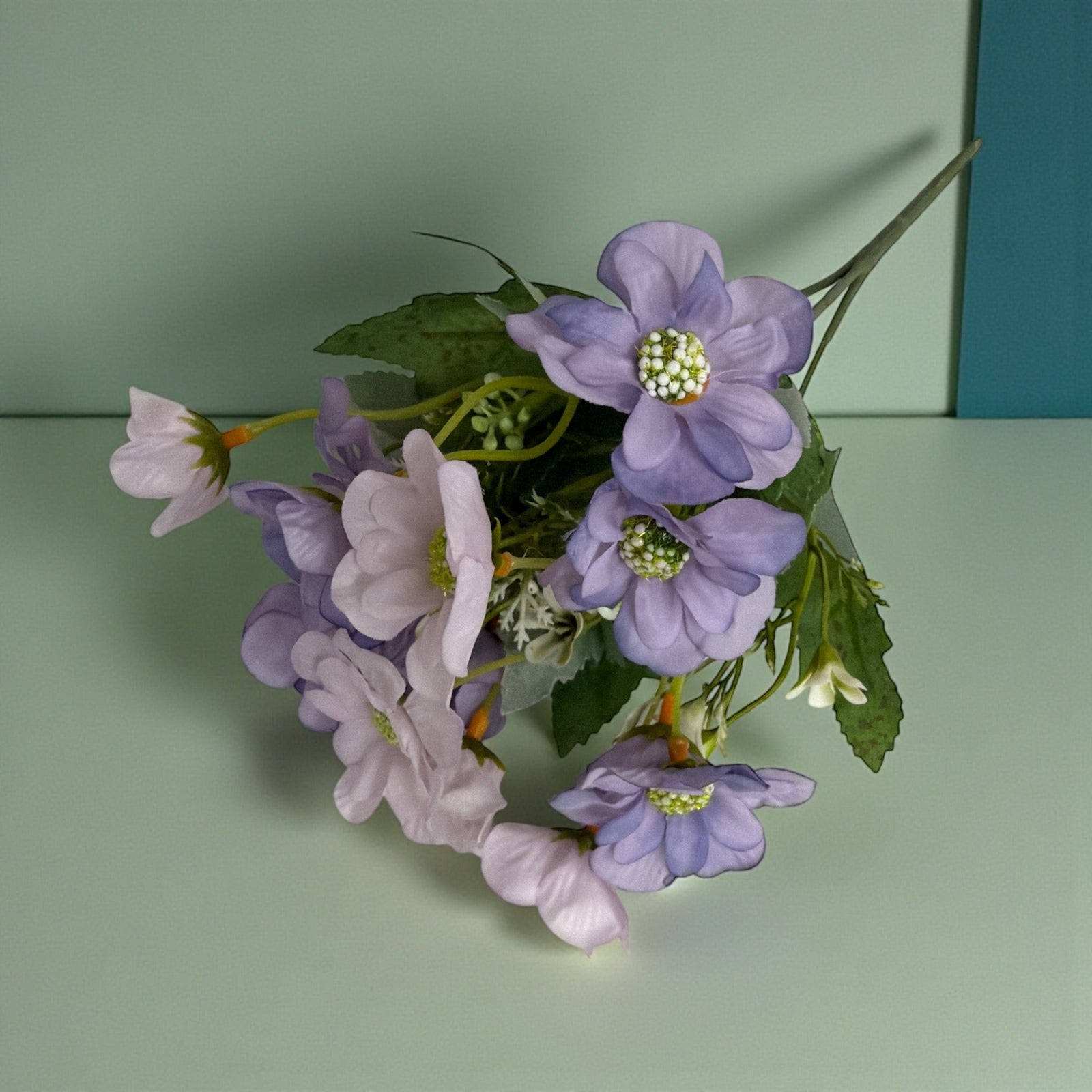 Photoroom_20251212_143155