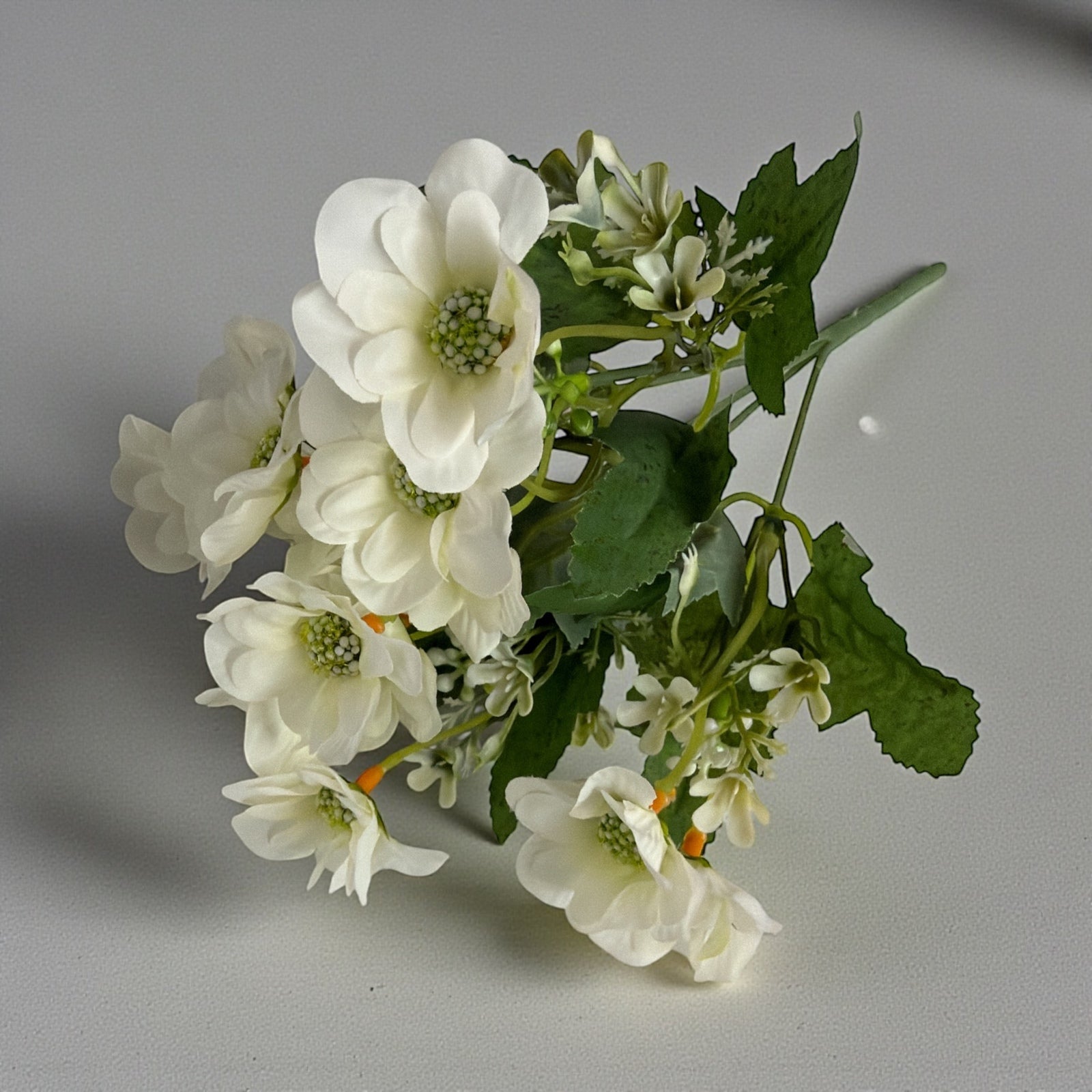 Photoroom_20251212_143241