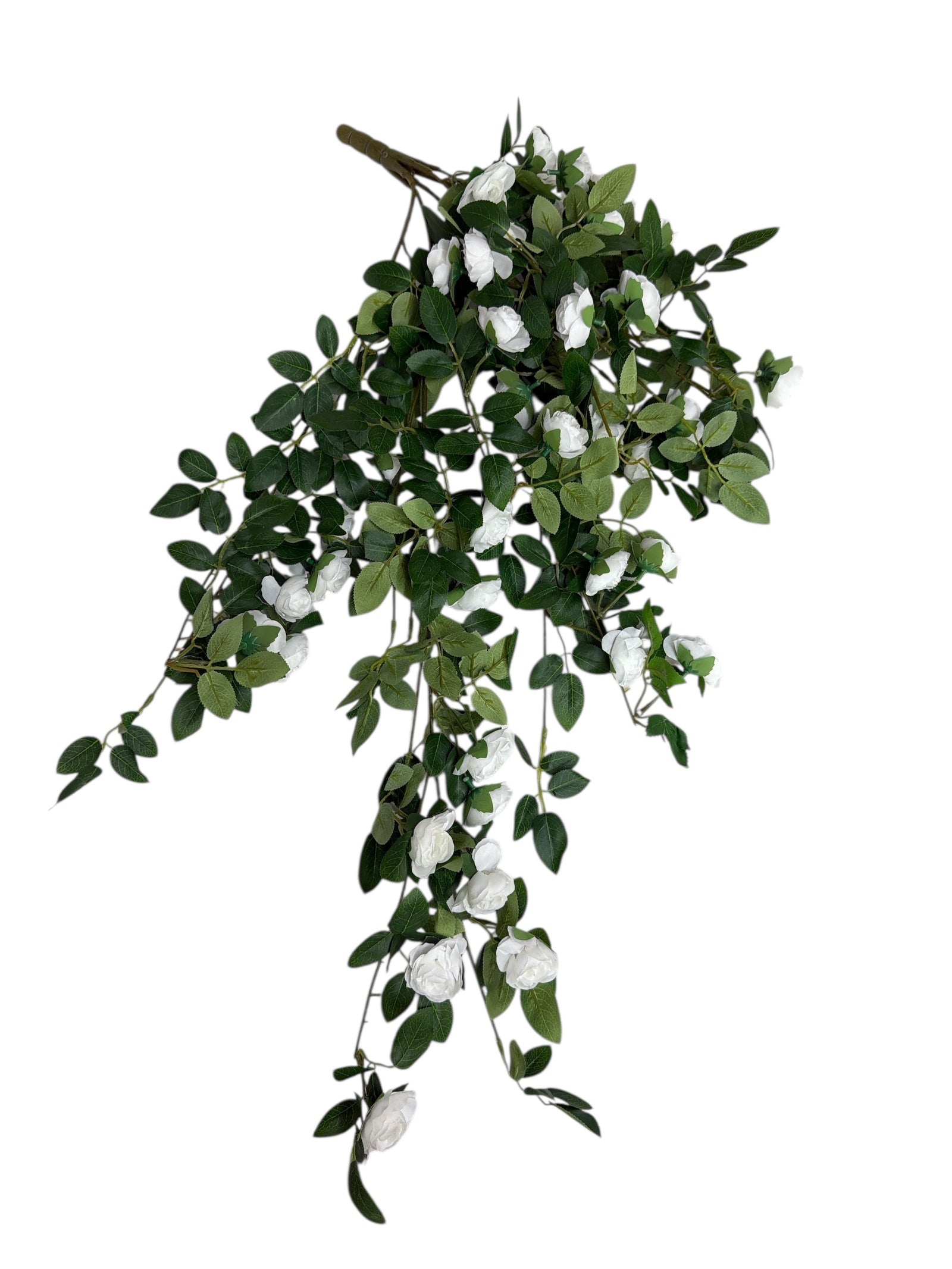 Photoroom_20251211_163233