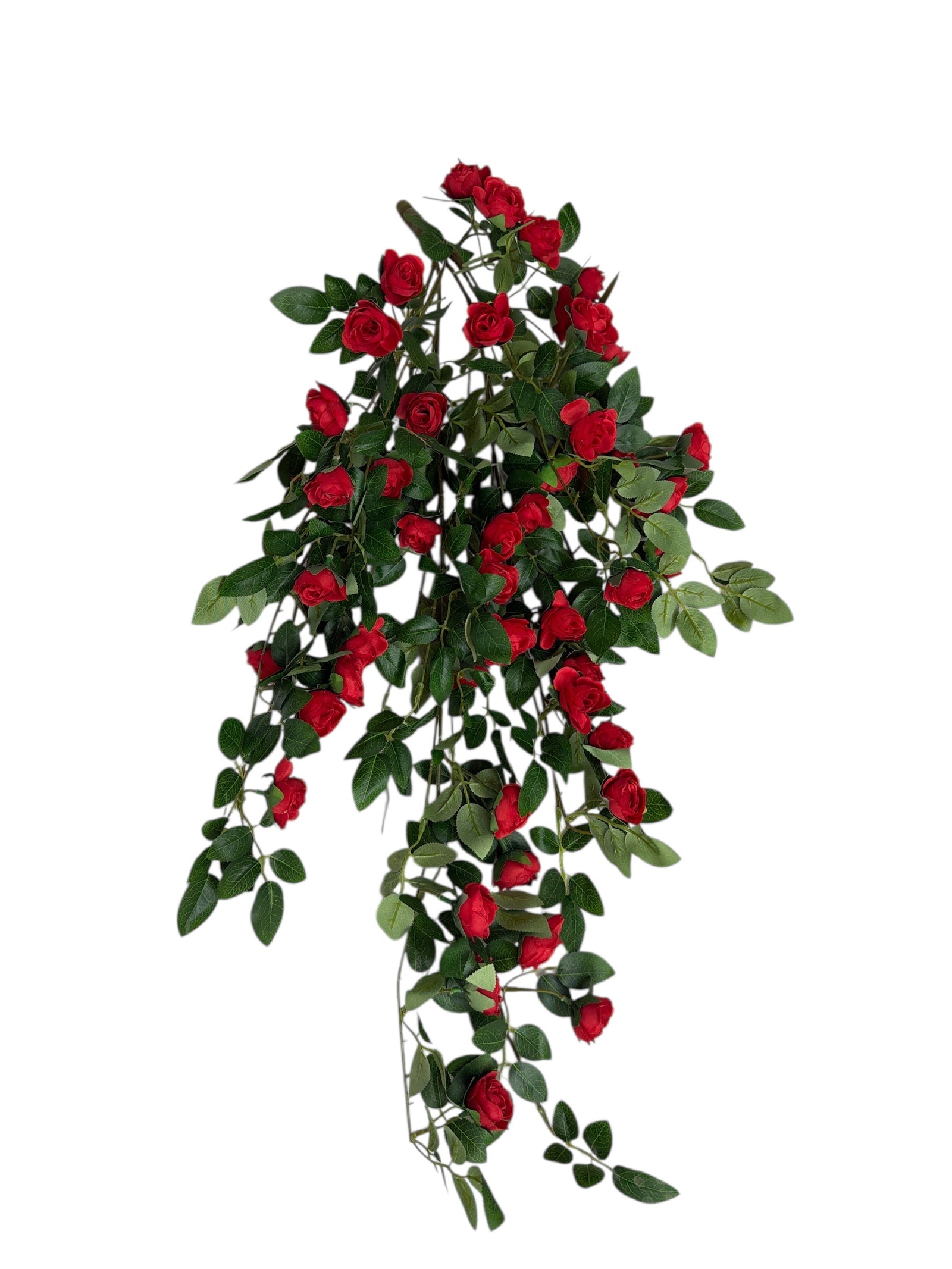 Photoroom_20251211_163351