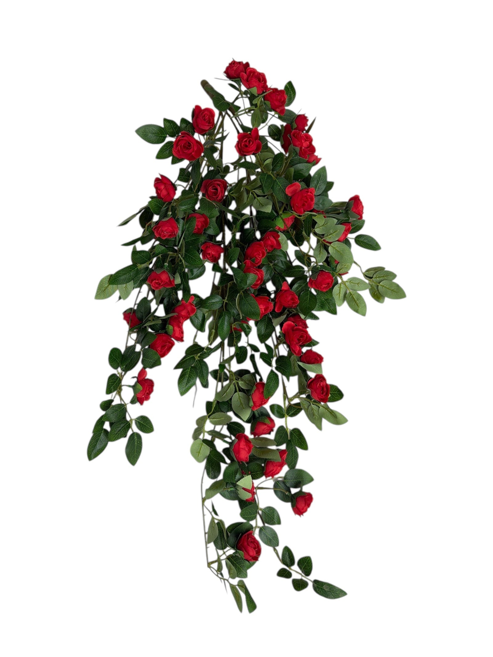 Photoroom_20251211_163358