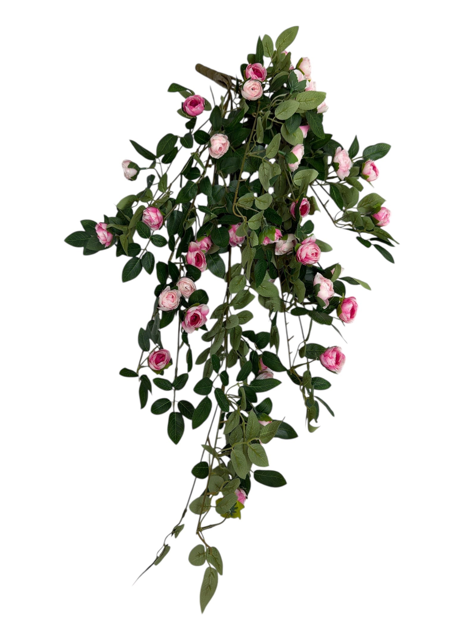 Photoroom_20251211_163530