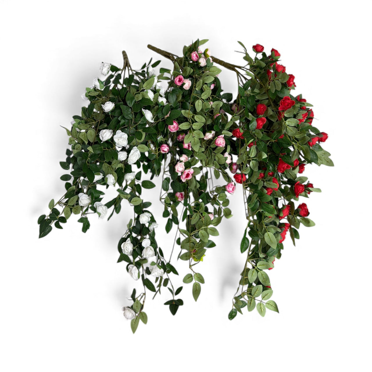 Photoroom_20251211_163619