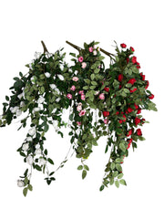 Photoroom_20251211_163707