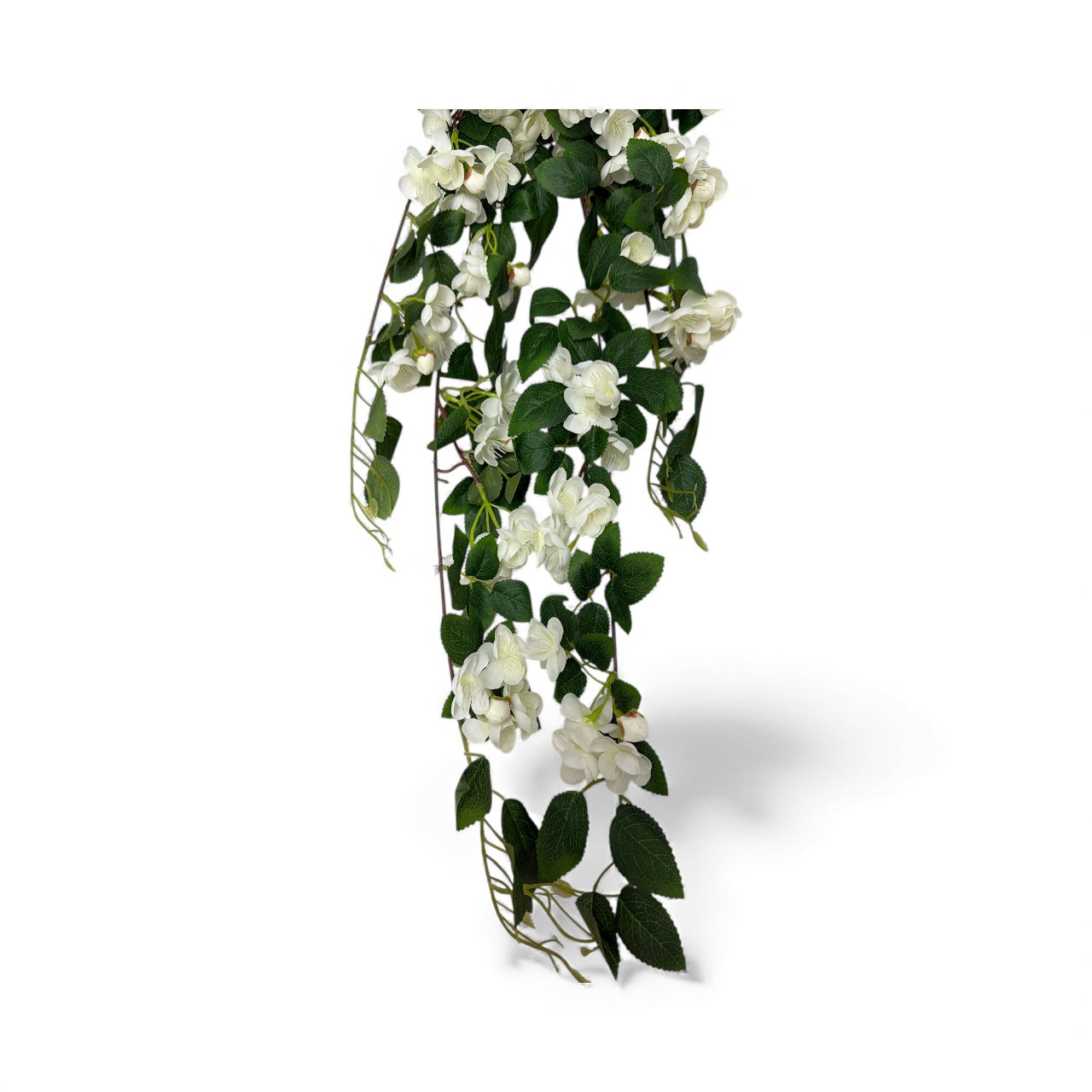 Photoroom_20251211_160013