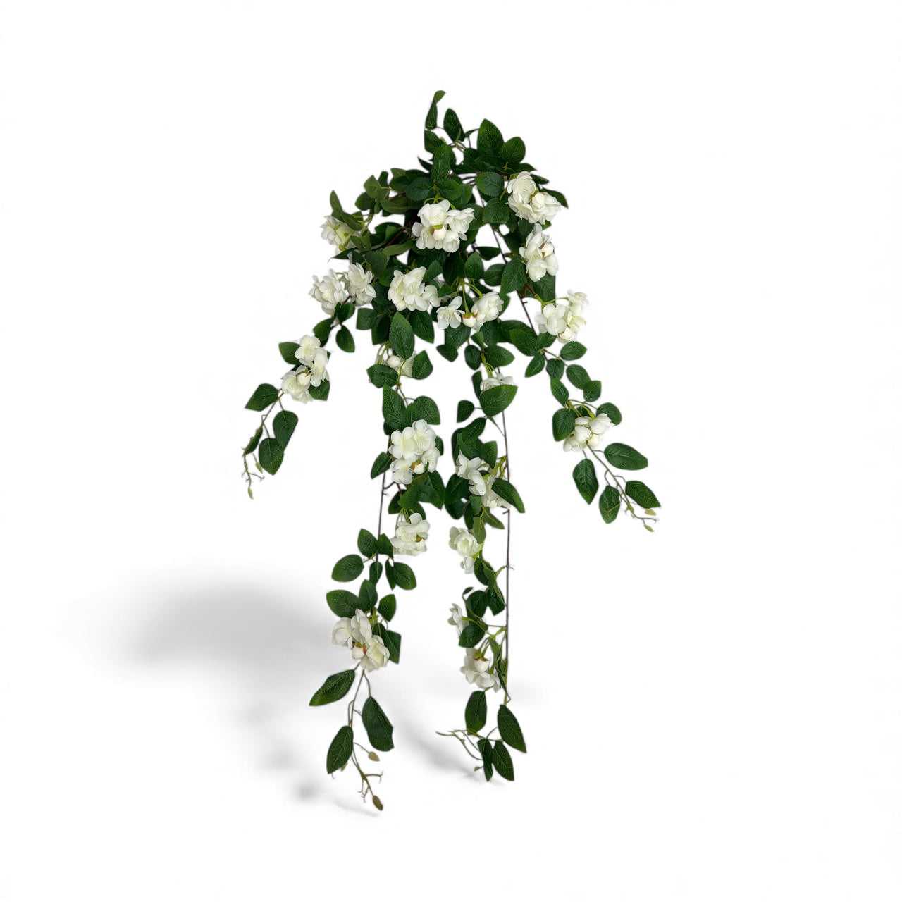 Photoroom_20251211_160100