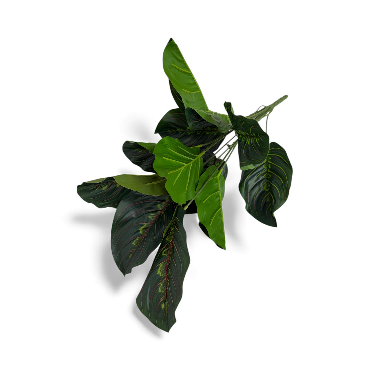 Photoroom_20251211_154400