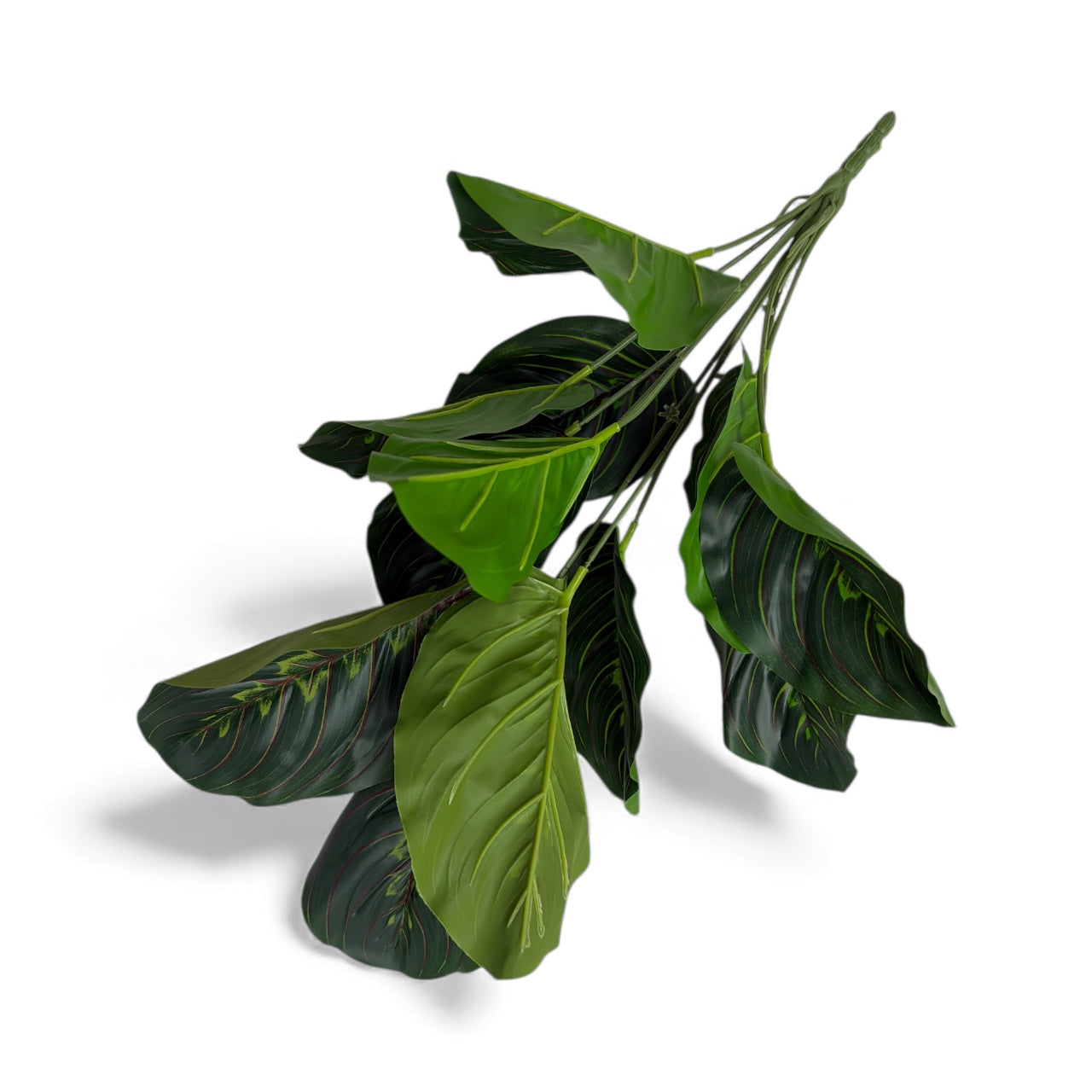 Photoroom_20251211_154543