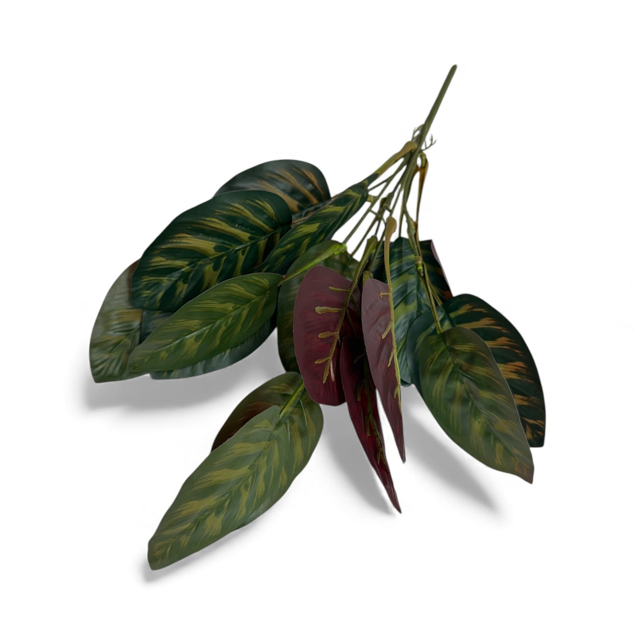 Photoroom_20251211_154152