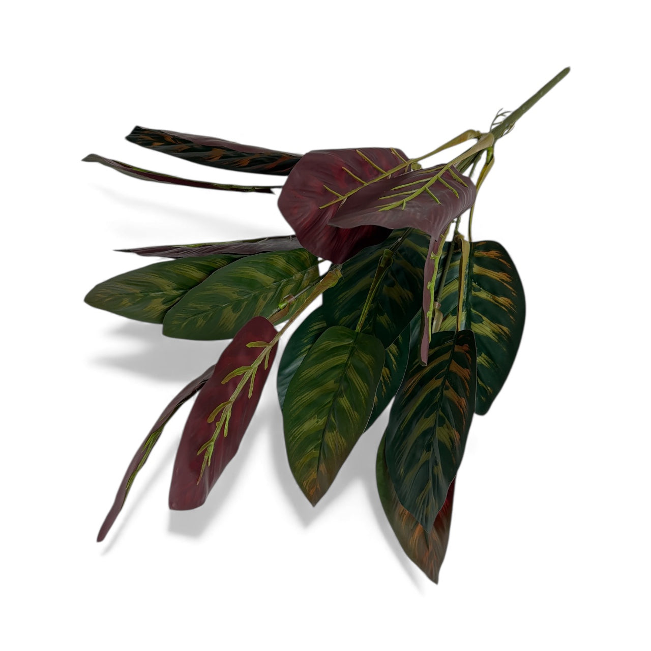 Photoroom_20251211_154217