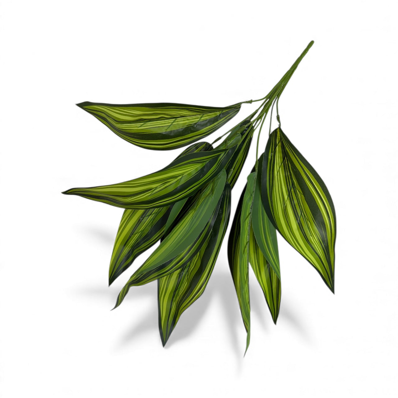 Photoroom_20251211_154707