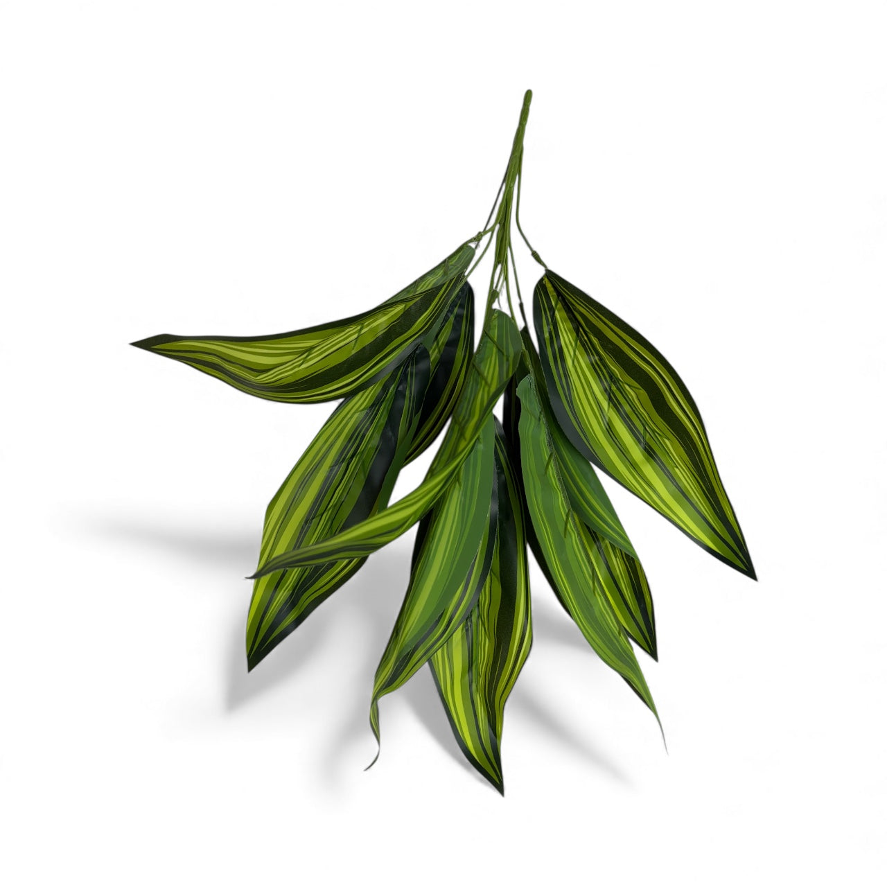 Photoroom_20251211_155514