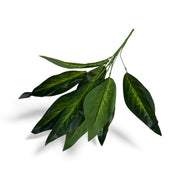 Photoroom_20251211_155112