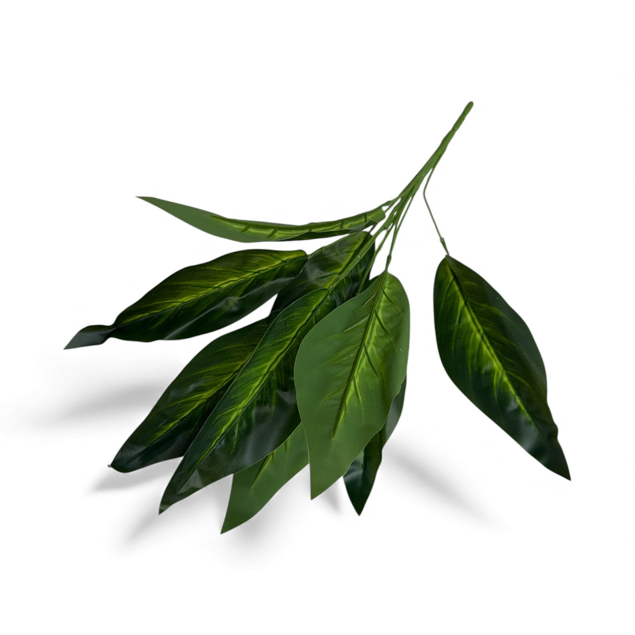 Photoroom_20251211_155112