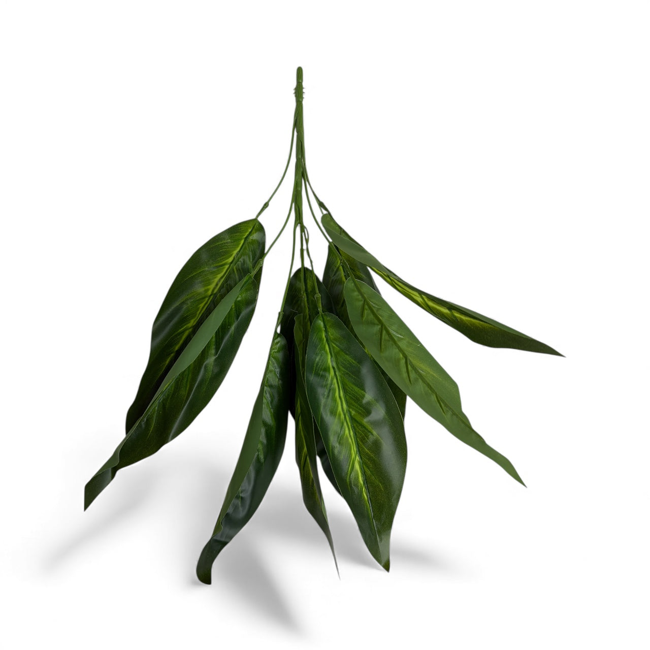 Photoroom_20251211_155642