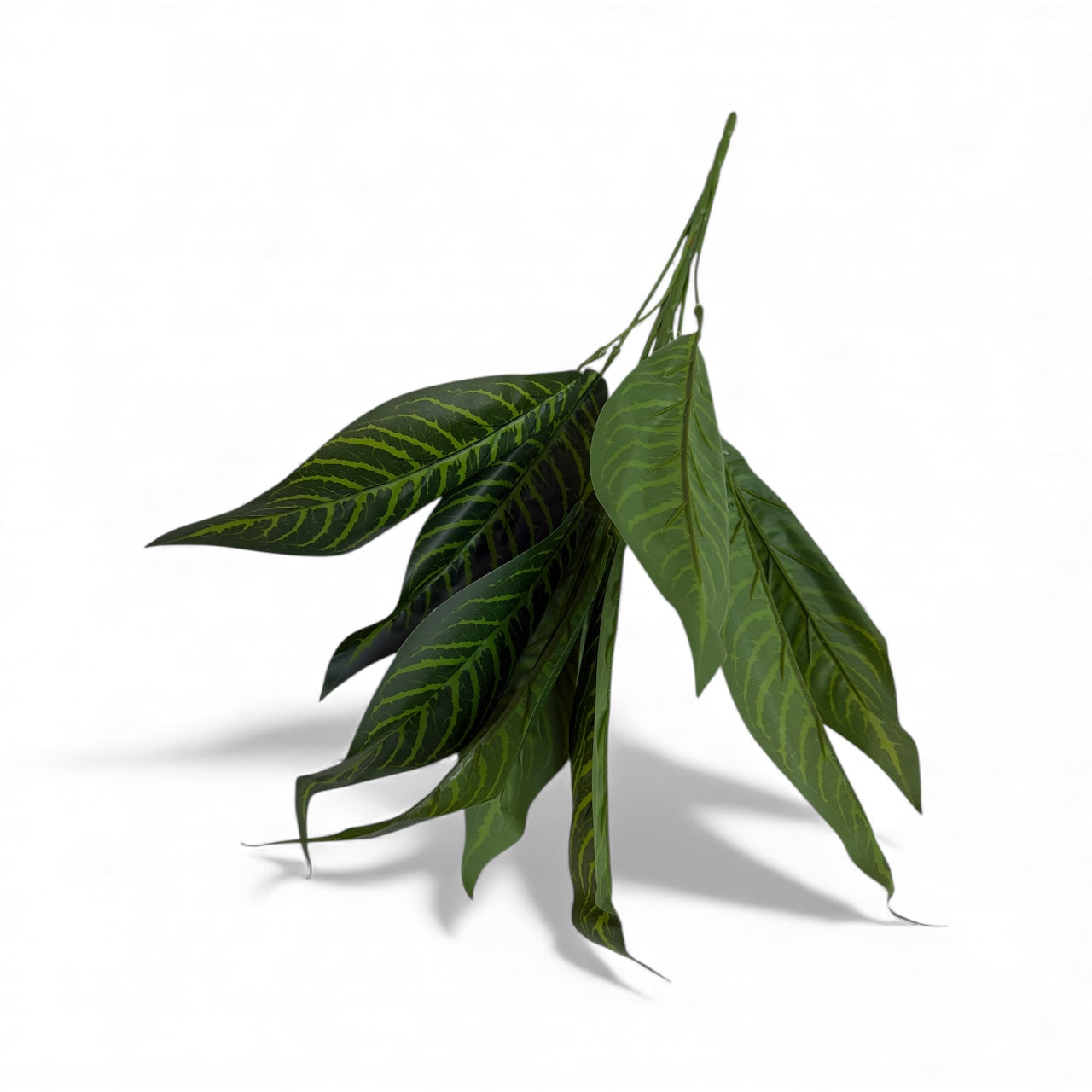 Photoroom_20251211_155338