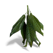 Photoroom_20251211_155447