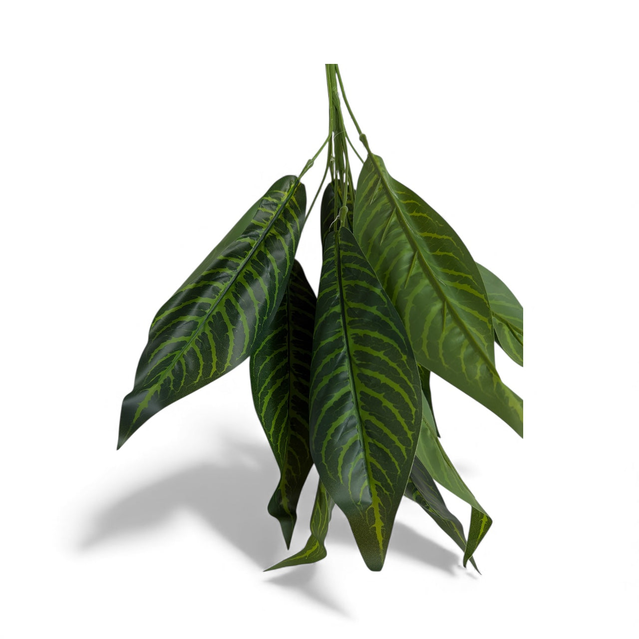 Photoroom_20251211_155447