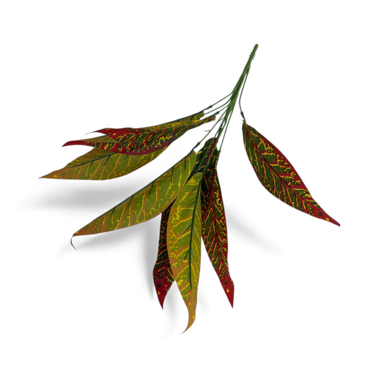 Photoroom_20251211_154902