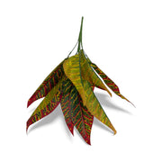 Photoroom_20251211_155549