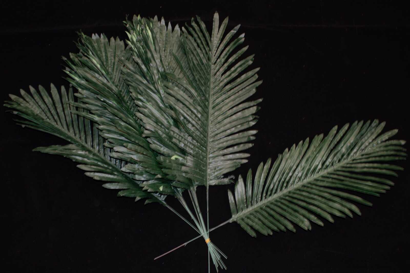 frunze-palmier-12set-70cm