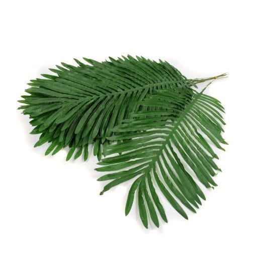 frunze-palmier-12set-70cm