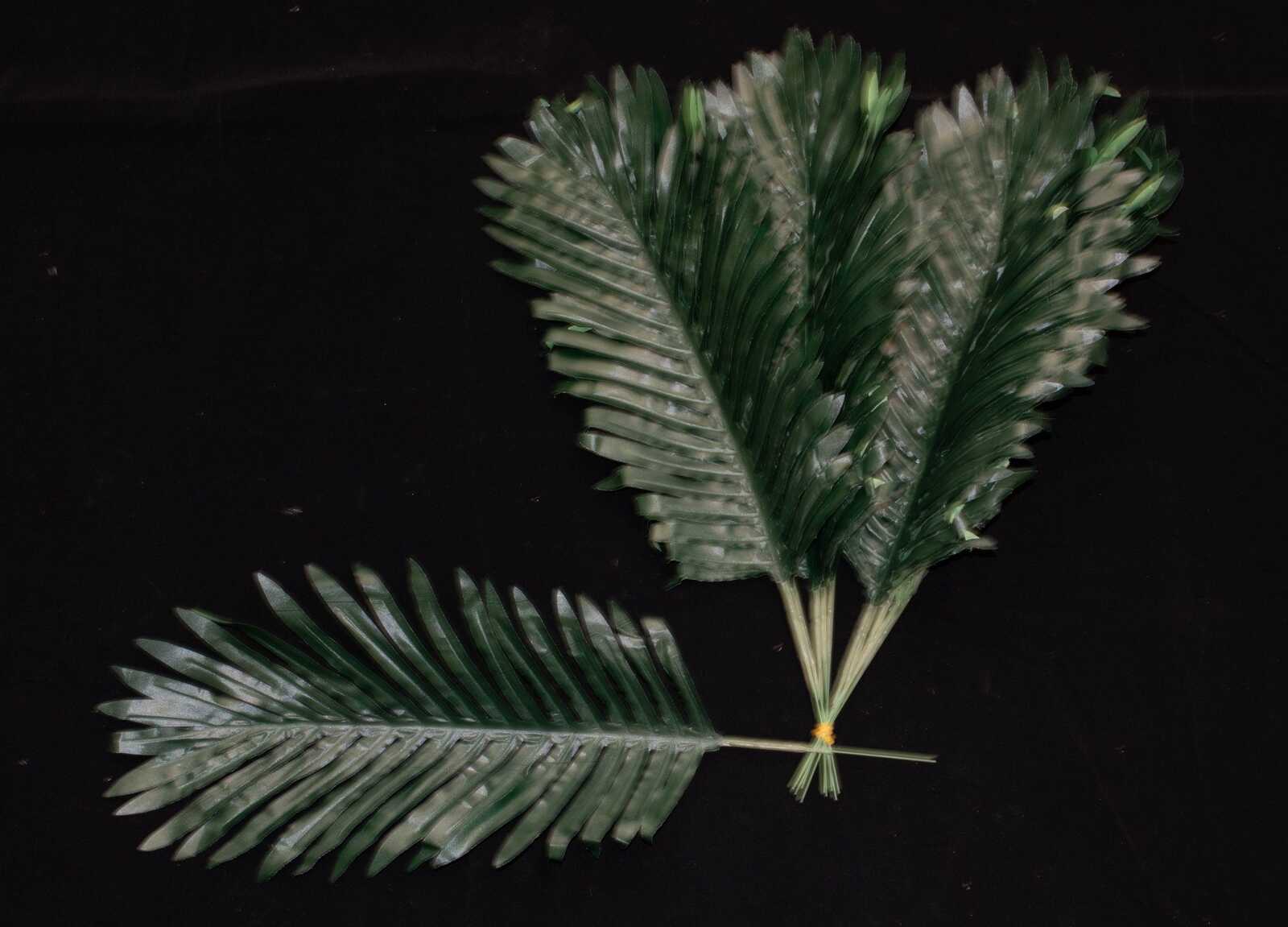 frunze-palmier-12set-50cm