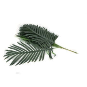 frunze-palmier-12set-50cm