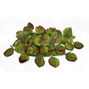 ghirlanda-12set-frunze-ovale-verde-maroniu