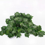 ghirlanda-frunze-mari-iedera-verzi-12set