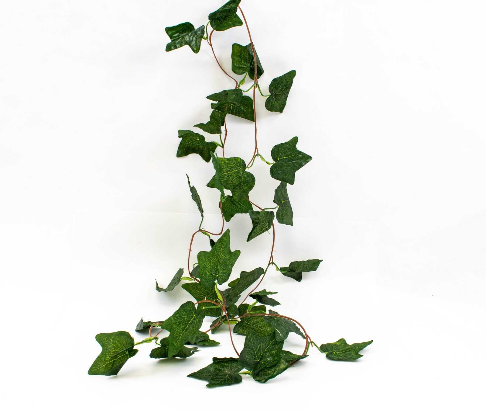 ghirlanda-frunze-iedera-mica-12set